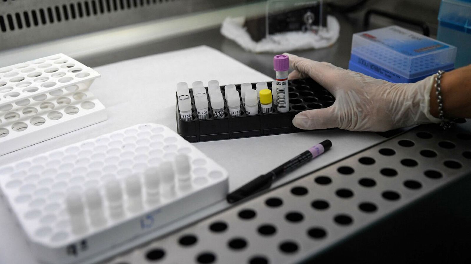 Coronavirus | Los tests constatan el alto número de contagios en las residencias | Ver