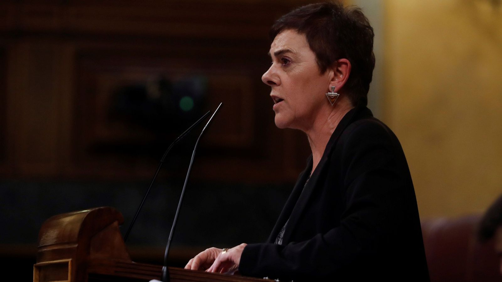 Bildu reclama un impuesto europeo a las grandes fortunas