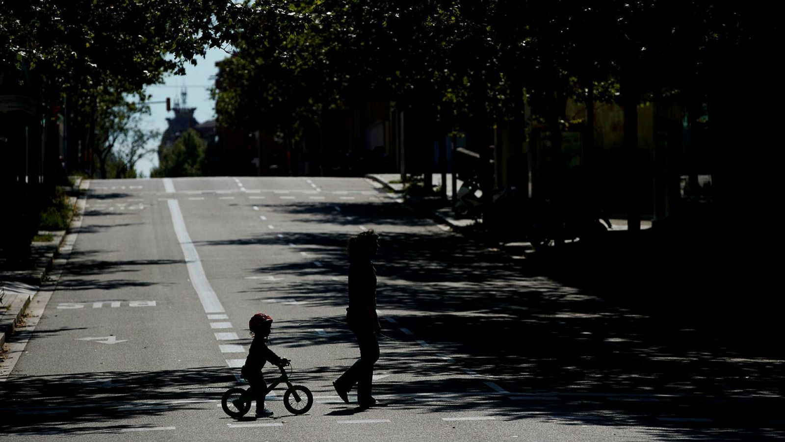 Epidemiólogos aconsejan al Gobierno de Murcia sobre el desconfinamiento: "Hay que cerrar algunas zonas antes de abrir otras" - RTVE.es