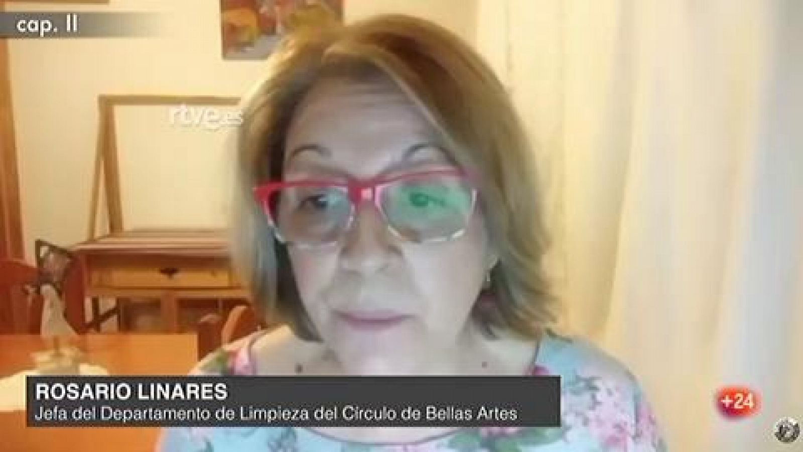 Día del Libro: Rosario Linares, responsable del departamento de limpieza del CBA participa en la lectura virtual de 'El Quijote'  - RTVE.es