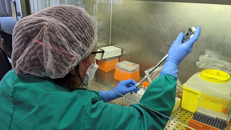 Sanidad considera nuevos casos de coronavirus solo los detectados con prueba PCR