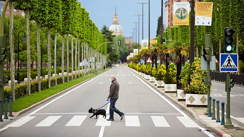 Se disparan las peticiones de acogida de perros con la intención de devolverlos tras el confinamiento