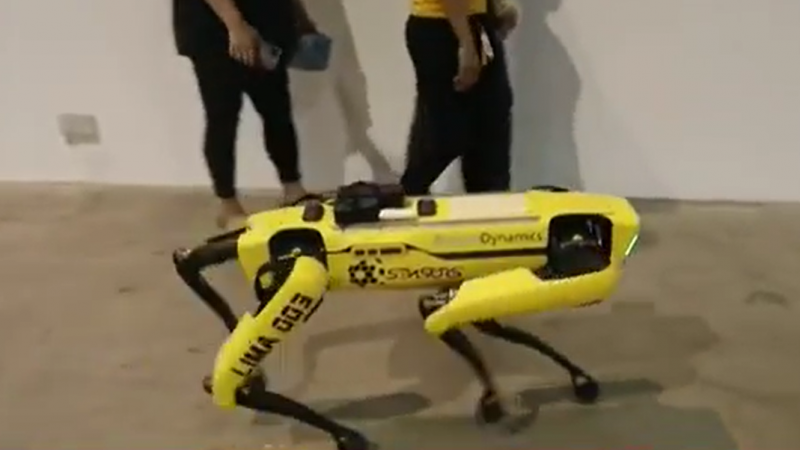 Singapur lucha por contener la pandemia mientras utiliza robots que evitar el contagio de los sanitarios - RTVE.es - Telediario 1 | Ver