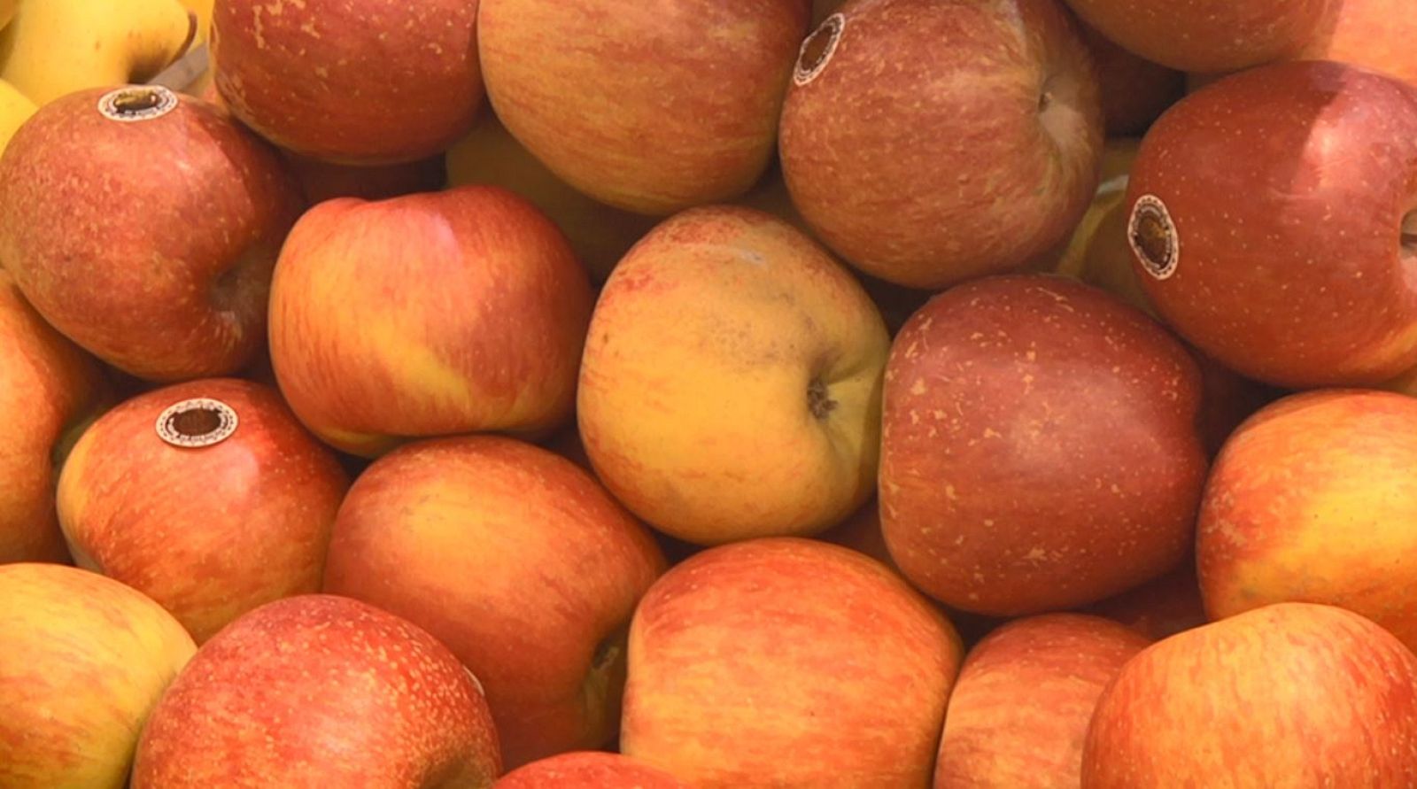 Aquí la Tierra - 27/04/20 - ver ahora