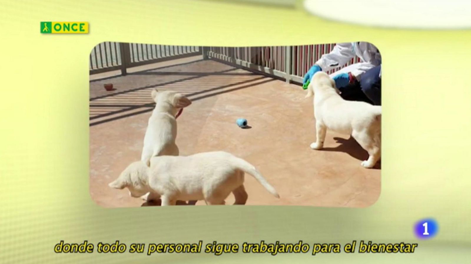 ONCE - 28/04/20 - ver ahora