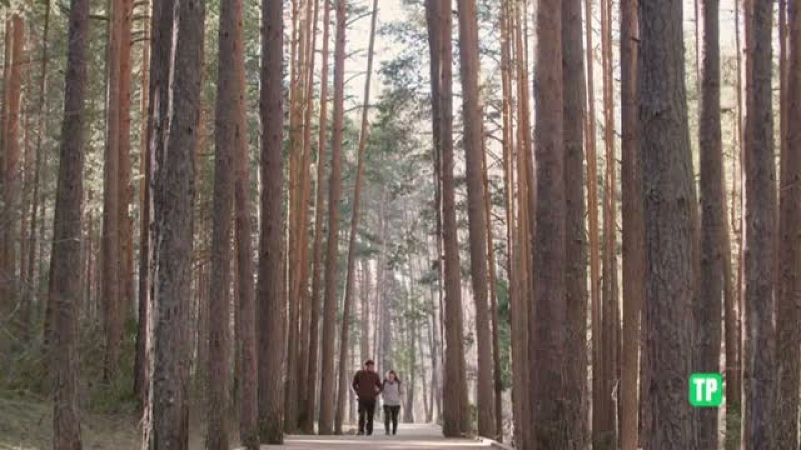 Sin programa: Una mirada a la vida rural | RTVE Play