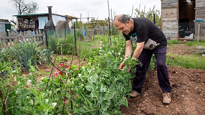 Especial Coronavirus - El Gobierno permitirá los desplazamientos a los huertos para el consumo propio