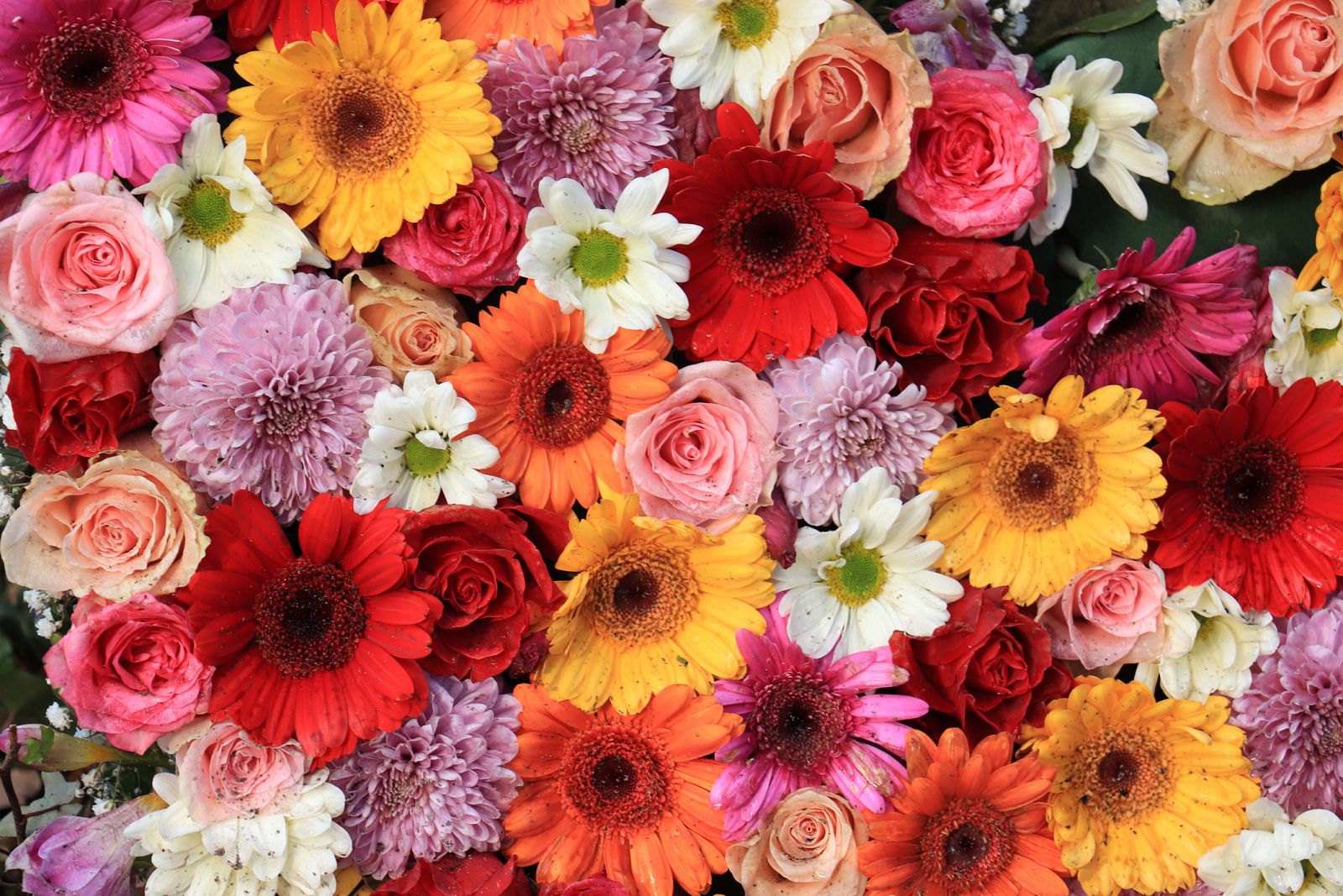 España Directo - Celebrando el día de la madre con flores y pasteles