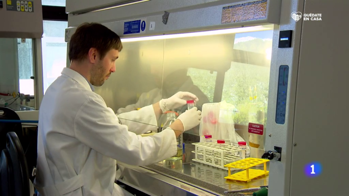 Telediario 1 - Investigadores de todo el mundo siguen la pista de la epidemia en las aguas fecales