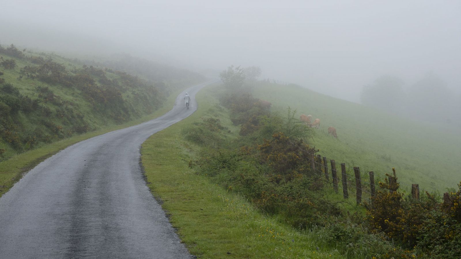 Precipitaciones persistentes en el extremo oeste de Galicia - Ver ahora