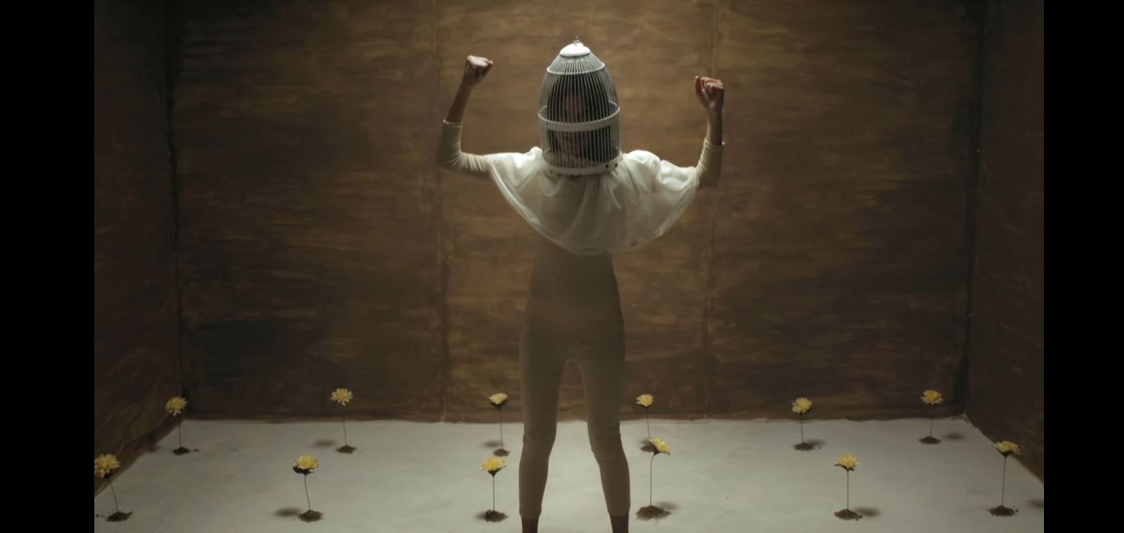 Cámara Abierta 2.0 - @Covidtimes_project, Mecal, Hakawatifilm y Shinova - ver ahora