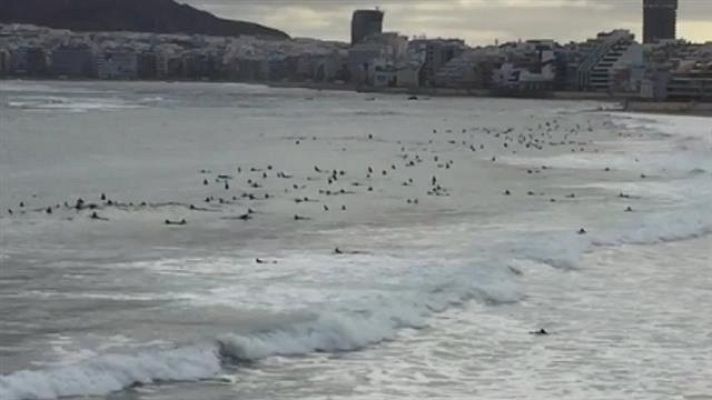 Telecanarias - Telecanarias - 02/05/2020