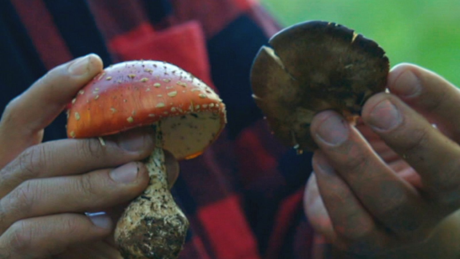 Las rutas d'Ambrosio - Sierra de Albarracín: Tierra de refugio - ver ahora