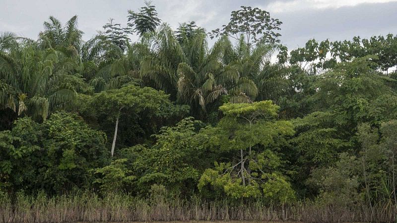 Vídeo: Tres españoles y una residente que iban a ser repatriados mueren en un accidente aéreo en Bolivia