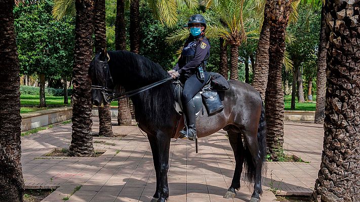 Telediario 1 - 7.073 personas han sido detenidas en España por incumplir las medidas del estado de alarma