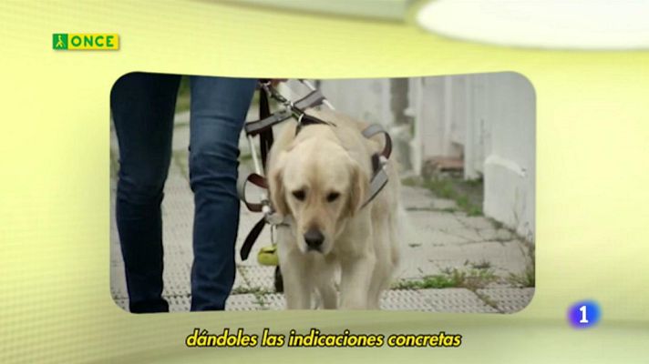 Sorteos ONCE - ONCE - 03/05/20