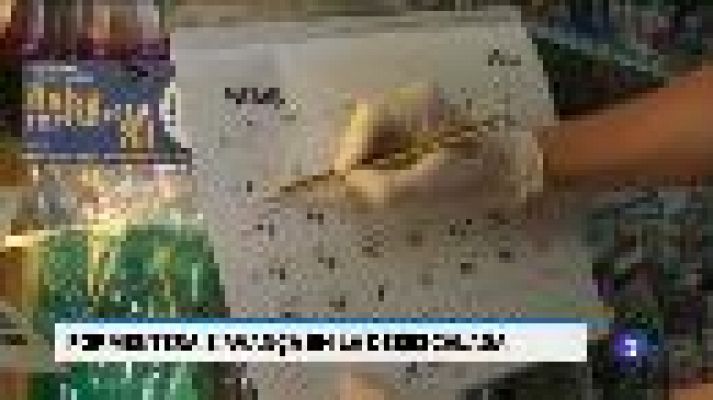 Informatiu Balear - Informatiu Balear 2 - 04/05/20