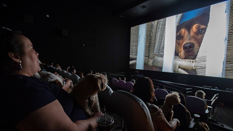 Cultura ha anunciado incentivos fiscales dirigidos a producciones y rodajes