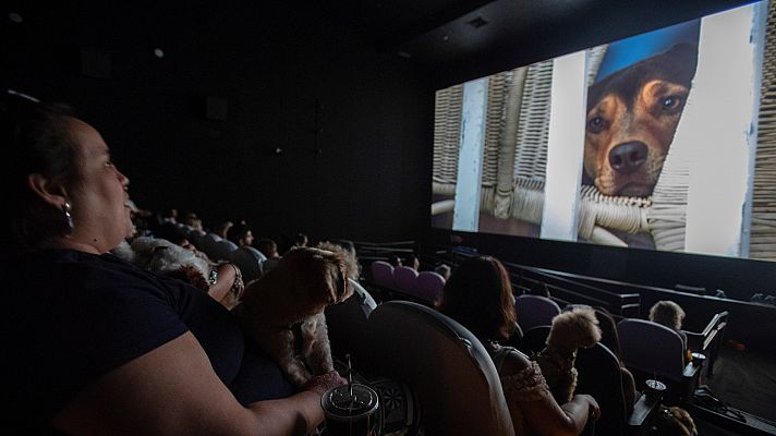  - Cultura ha anunciado incentivos fiscales dirigidos a producciones y rodajes