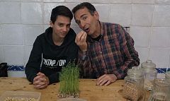 Aquí la Tierra - Germinados sin salir de casa