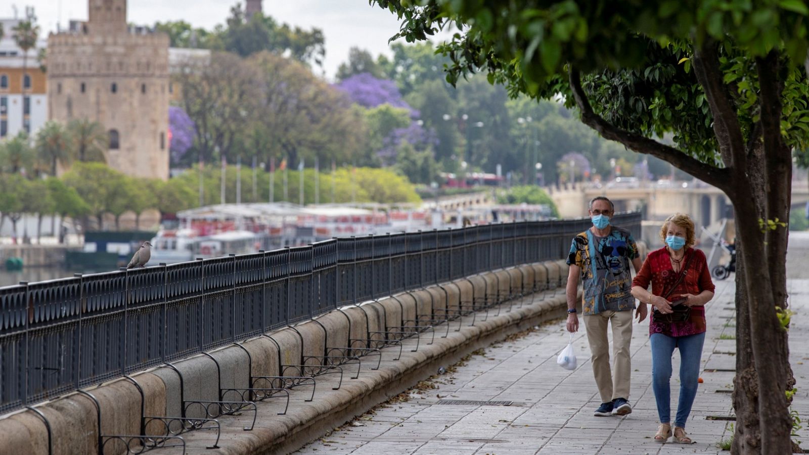 Sanidad recibe las peticiones de las comunidades autónomas para pasar a la Fase 1 de la desescalada - RTVE.es