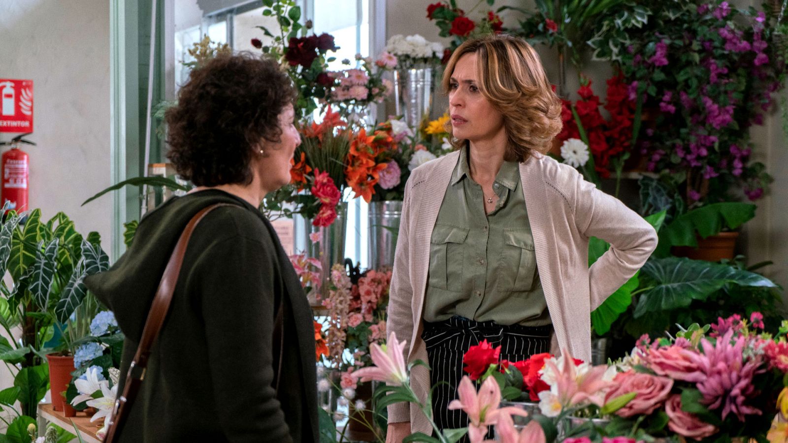 Mercado central - Capítulo 154 - ver ahora