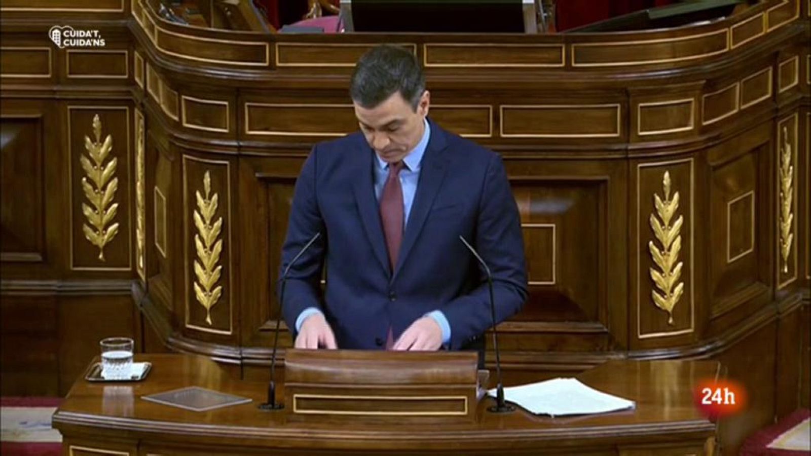 Vespre 24 - 6/05/2020