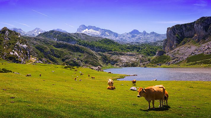 Temperaturas significativamente altas en la Península y Baleares