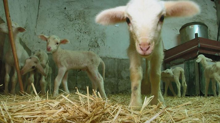 Aquí la Tierra - Aquí la tierra - 07/05/20