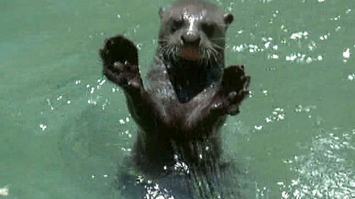 El hombre y la Tierra - El Edén perdido