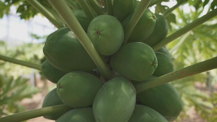 Aquí la Tierra - Aquí la Tierra - 11/05/20