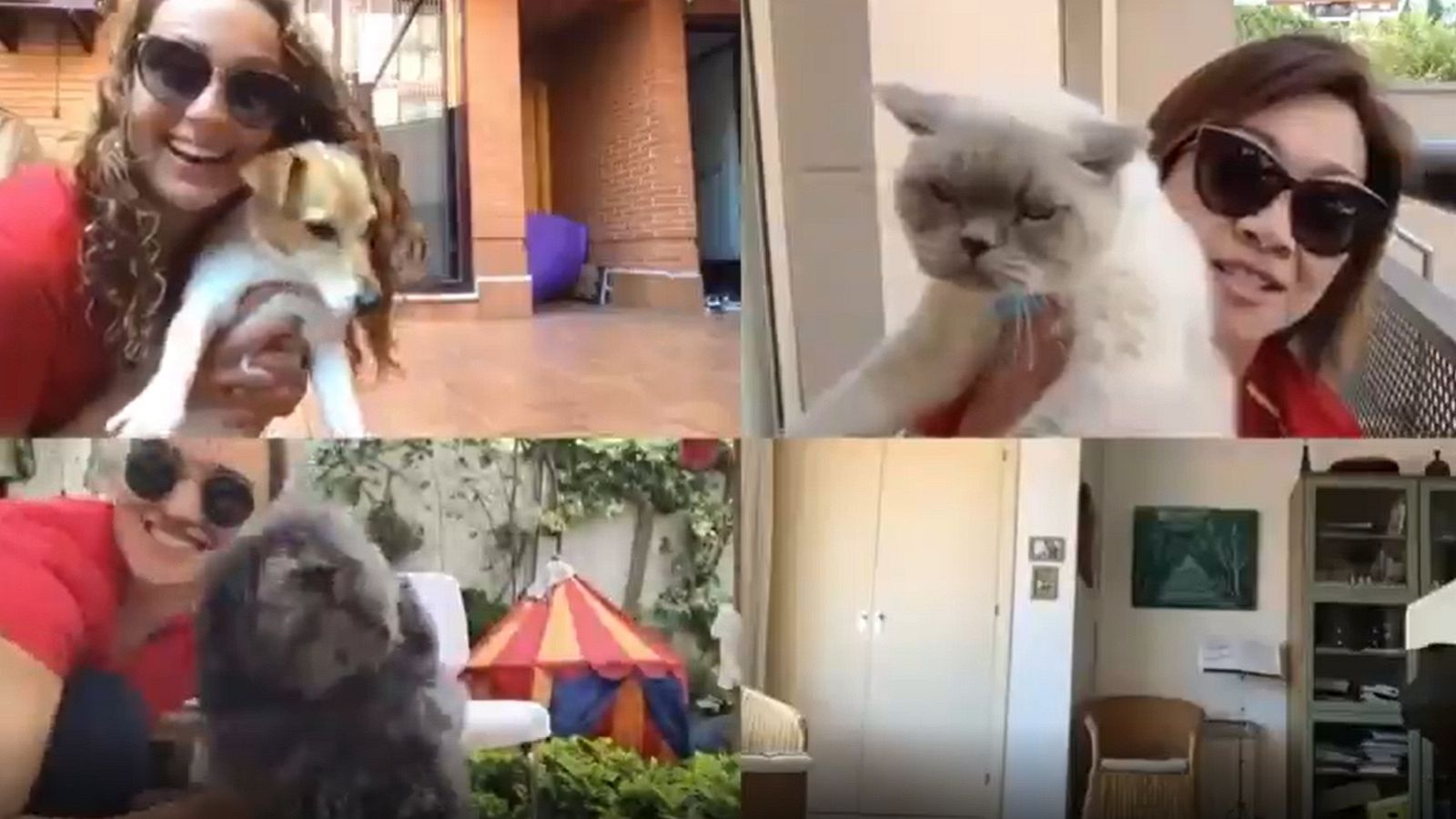 El equipo de natación artística hace 'Karaoke sin piscina' | Ver