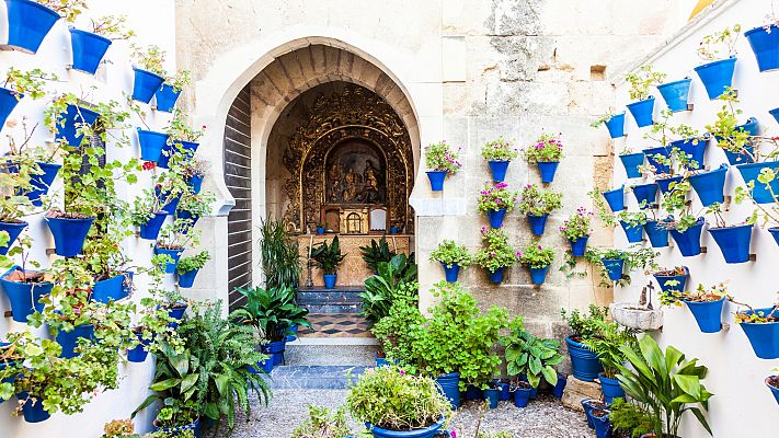 Los patios de Córdoba se podrán visitar de forma virtual
