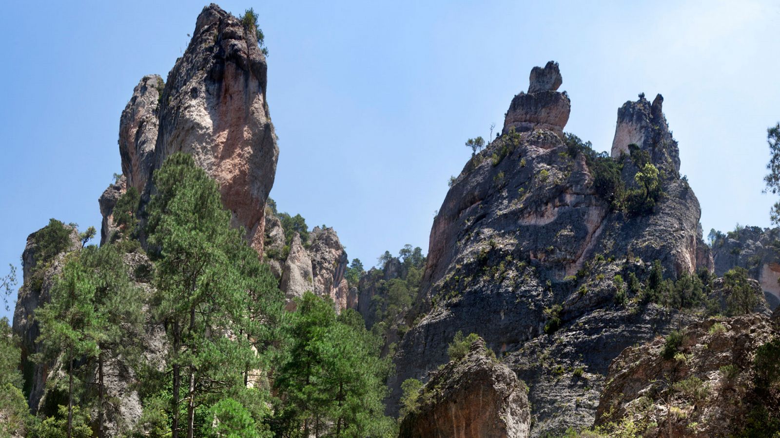 80 cm - Gubies del Regatxol Beceite - RTVE.es