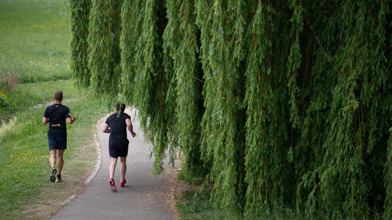 Las temperaturas ascenderán de manera generalizada en la Península