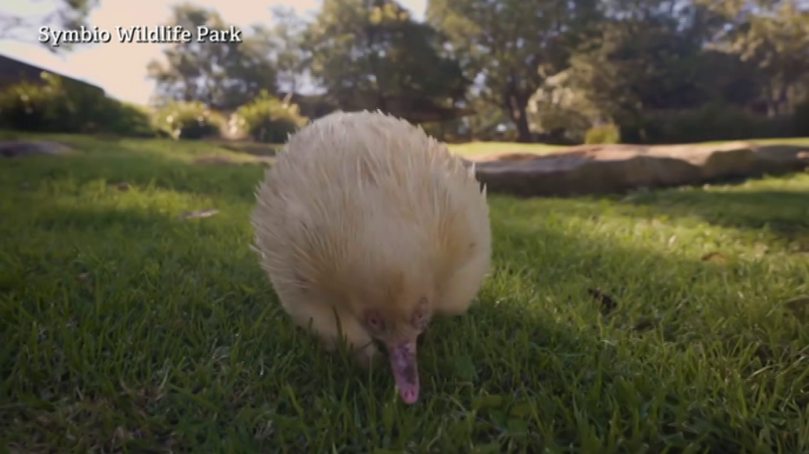 Aquí la Tierra - 17/05/20 - ver ahora