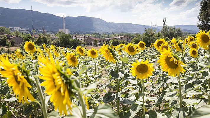 El Gobierno pone en marcha la tramitación de la ley de cambio climático