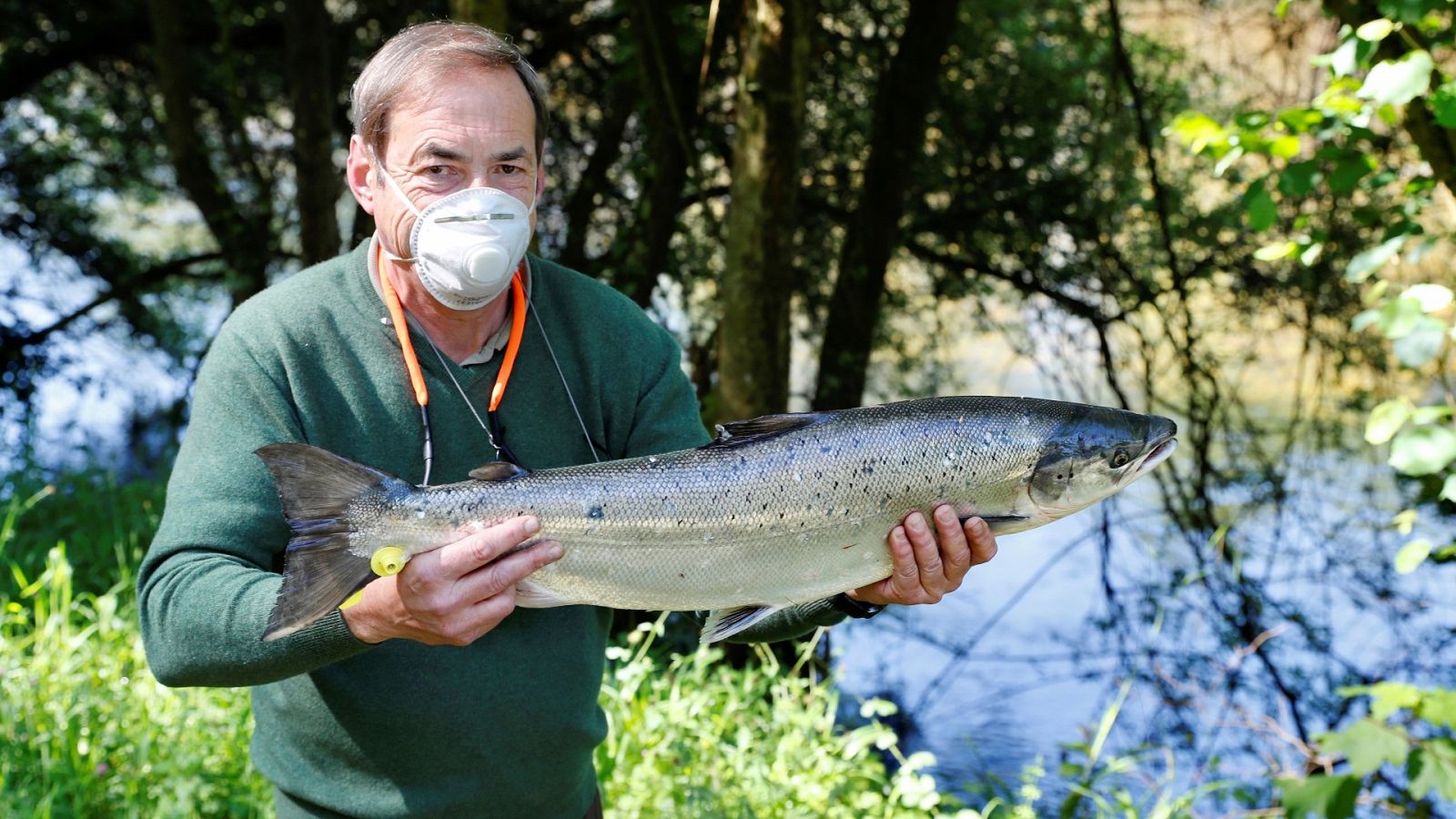 España Directo - 19/05/20 - ver ahora