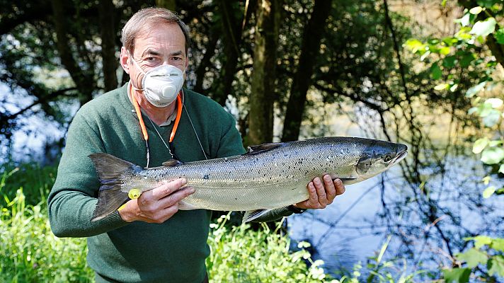 España Directo - España Directo - 19/05/20