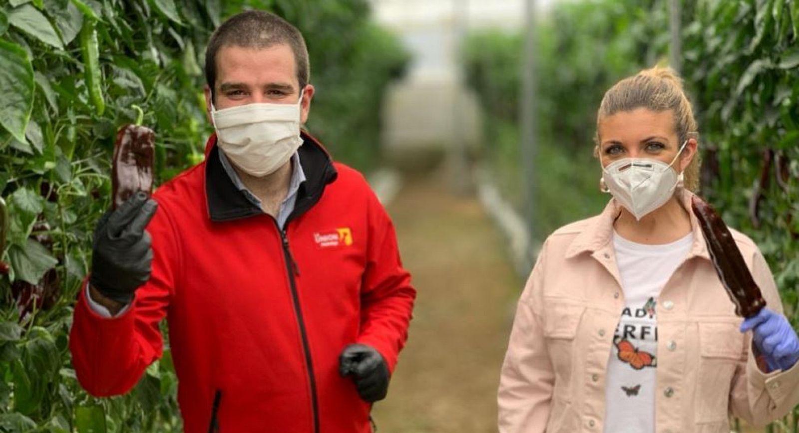 ¿Conoces el pimiento chocolate?