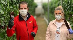 Aquí la tierra - ¿Conoces el pimiento chocolate?