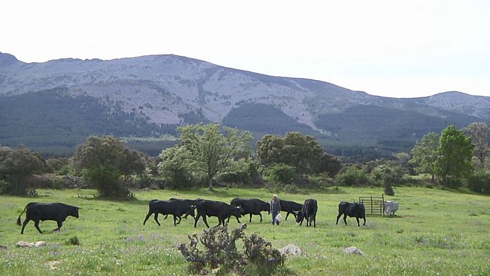 El Mantecas, pionero de lo ecológico 