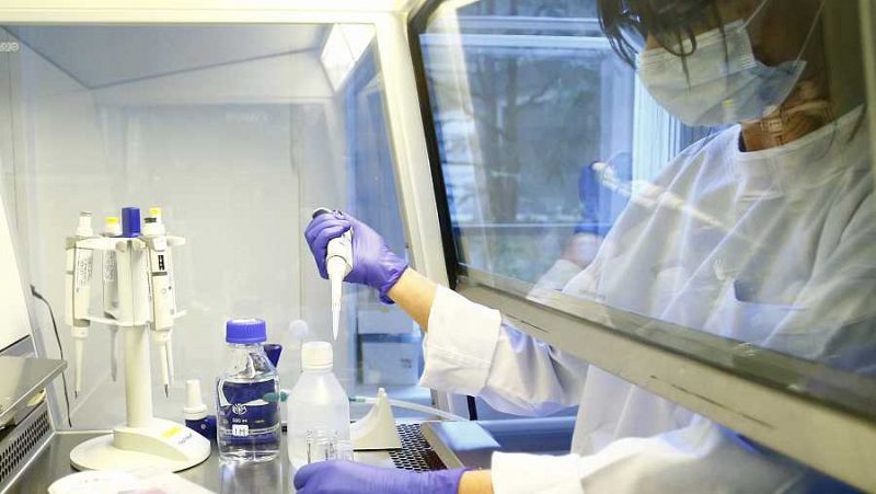 La vacuna estadounidense contra el coronavirus podría estar lista a final de año, según su director técnico