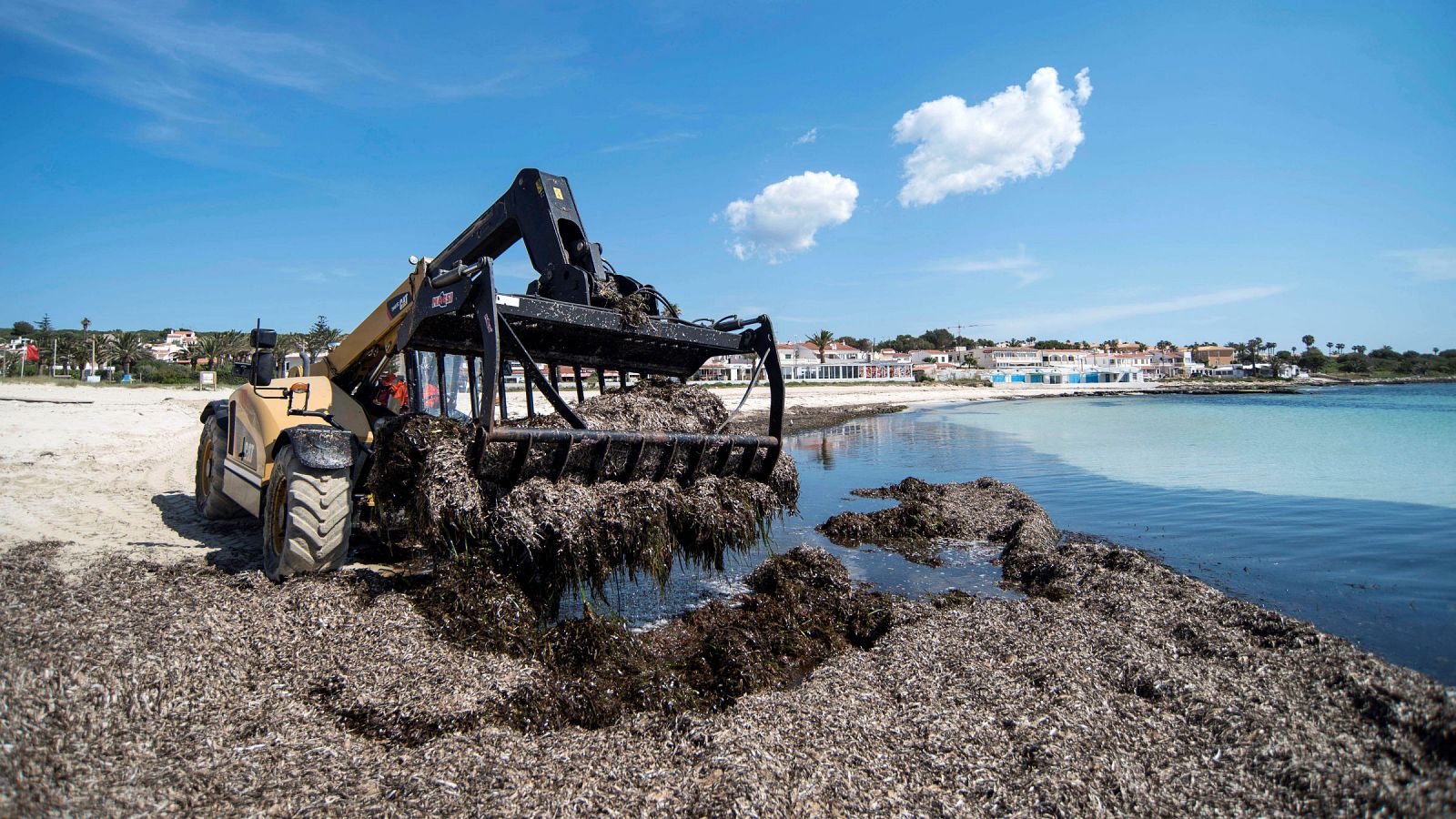 Coronavirus | Los ecologistas de baleares critican con dureza las medidas del Govern para reactivar el turismo