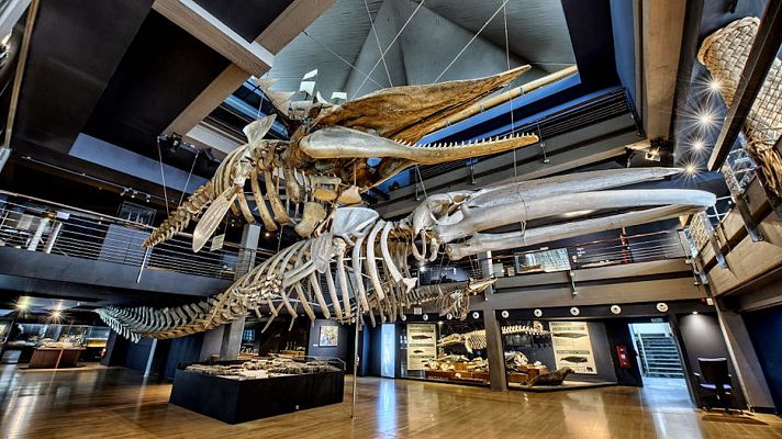 Especial Coronavirus - El programa 'La Cultura Contraataca' busca revitalizar el sector, muy dañado por la crisis