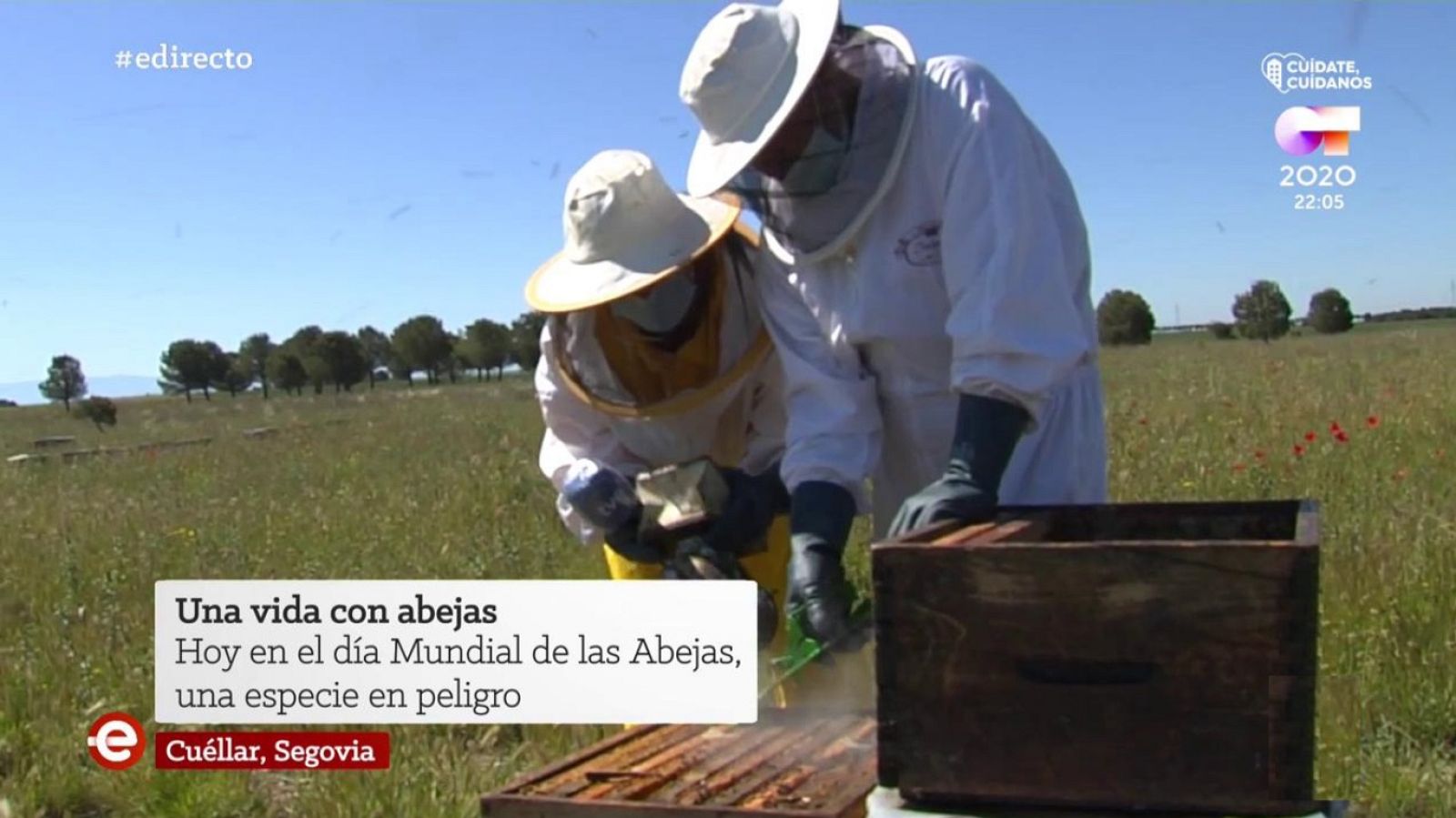 España Directo - 20/05/20 - ver ahora