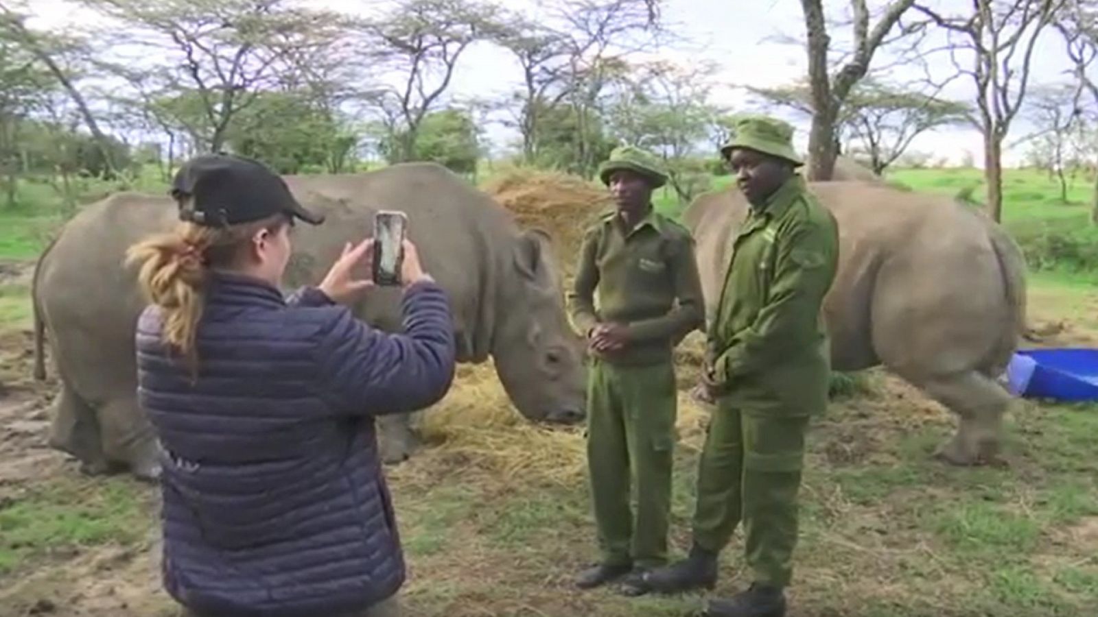 Las reservas de animales se reinventan: 'telesafaris' para recaudar fondos