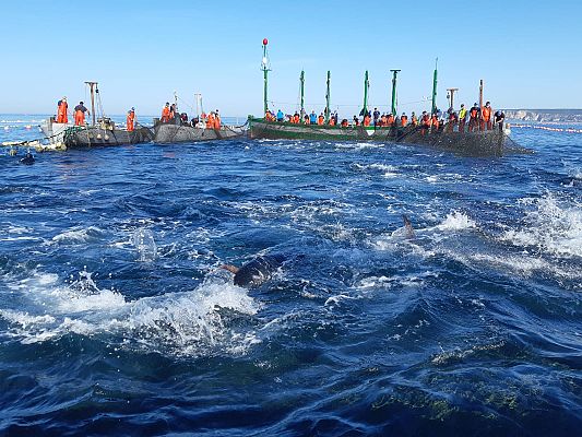 España Directo - La primera levantá grabada en exclusiva