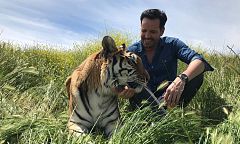Aquí la tierra - ¡Animales de cine!