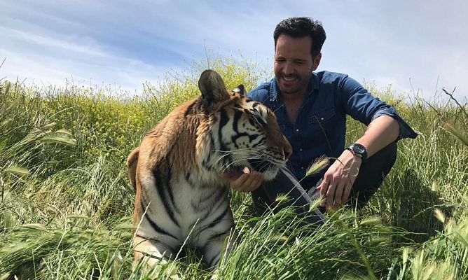 Aquí la Tierra - ¡Animales de cine!